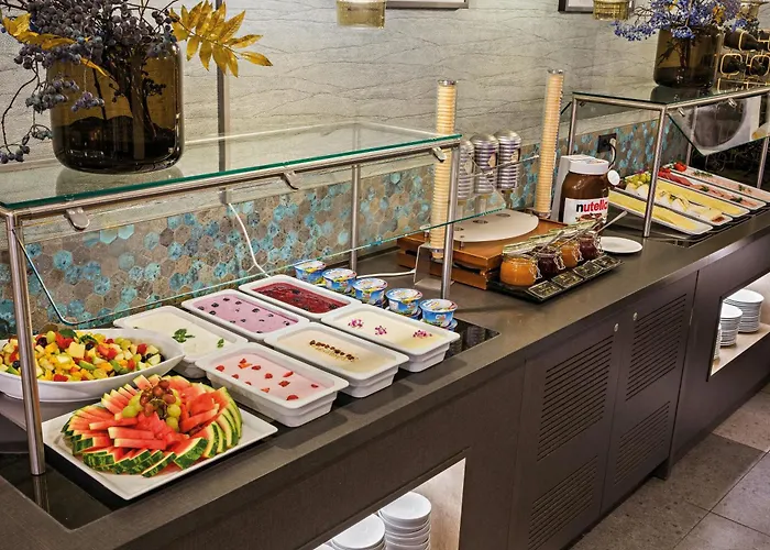 法兰克福莱昂纳多皇家酒店 酒店